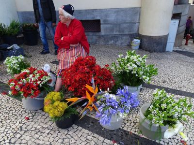 organisierte Wanderreise ohne Gepck auf Madeira