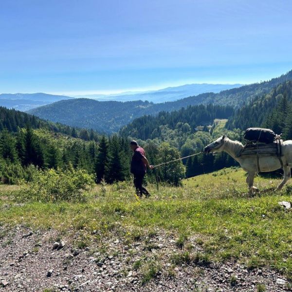 Wandern ohne Gepck in Montenegro: von Alm zu Alm im Nationalpark Bjelasica/Mokra Gebirge 