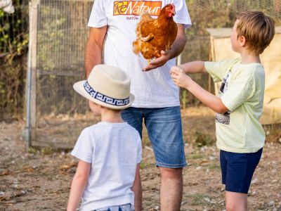Kinder drfen die Hhner streicheln