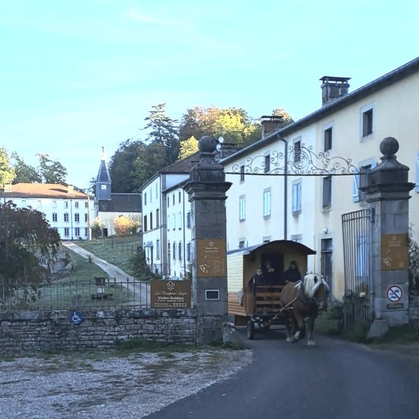 Planwagen-Urlaub in den Vogesen - Frankreich