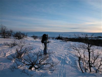 Langlauf in Schweden Schnee Winter Idre