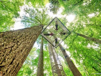 klettern im kinderprogramm
