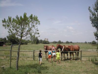 urlaub mit kindern pferde frankreich