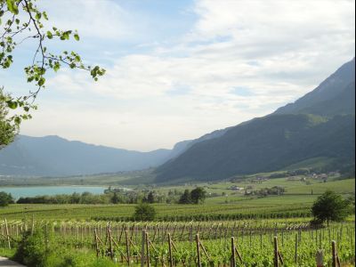 Kalterer See als Zielort des Wanderurlaubs