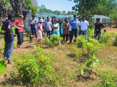 Indien Rundreise Goa Bio kologisch alternativ anders reisen