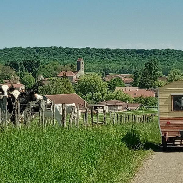 Planwagen-Urlaub in den Vogesen - Frankreich