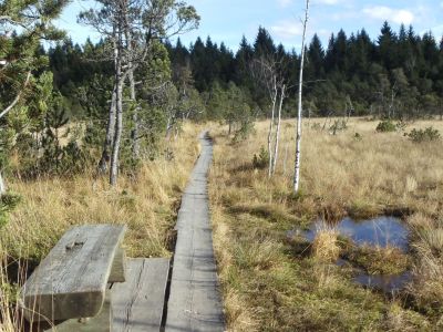 deutschland wandern ohne gepaeck alpen moor