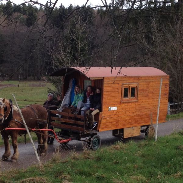 Planwagen-Urlaub in den Vogesen - Frankreich