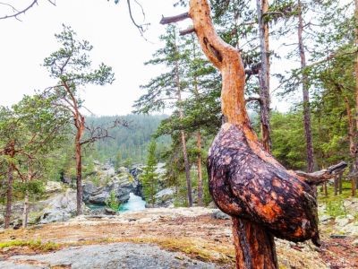 Naturimpressionen im Urlaub für Familien in Norwegen