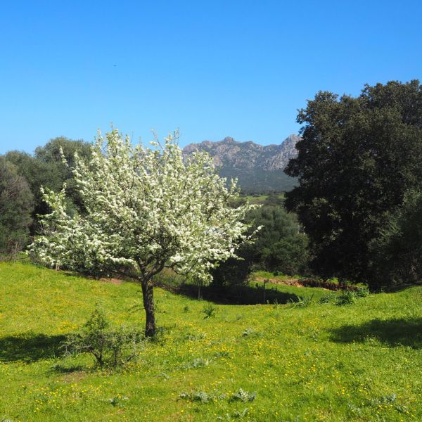 Agriturismo auf Sardinien - Urlaub zwischen Bergen und Meer