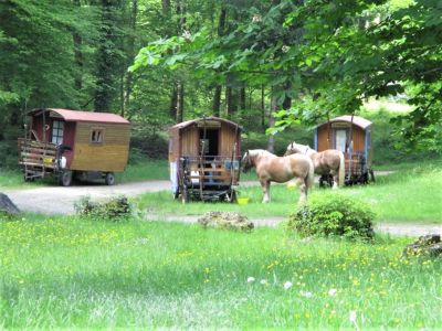 Planwagen Urlaub Frankreich in die Vogesen