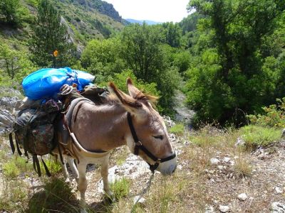 Trekking mit Esel in den Abruzzen im Aterno Tal