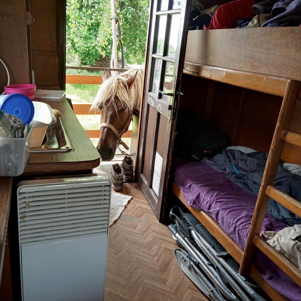 Planwagen-Urlaub in den Vogesen - Frankreich