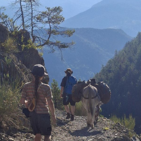 Eselwandern in Frankreich - Provence -  Sdalpen