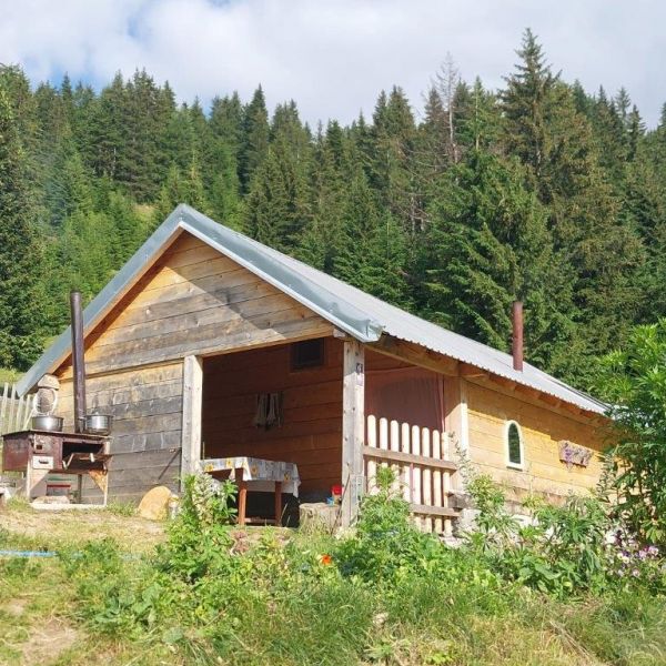Wandern ohne Gepck in Montenegro: von Alm zu Alm im Nationalpark Bjelasica/Mokra Gebirge 