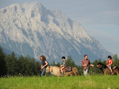 Ponys Spaziergang Berge Familienurlaub in Obsteig