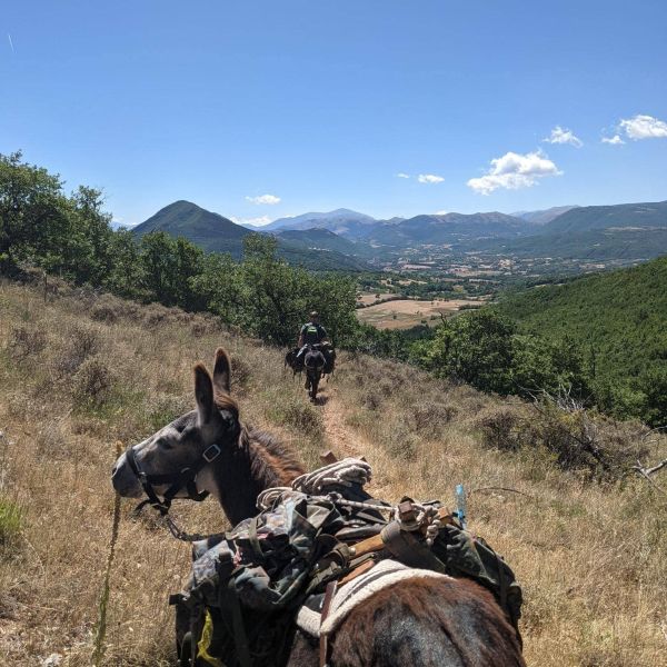 Eselwandern in den Abruzzen - Eselwanderung Italien