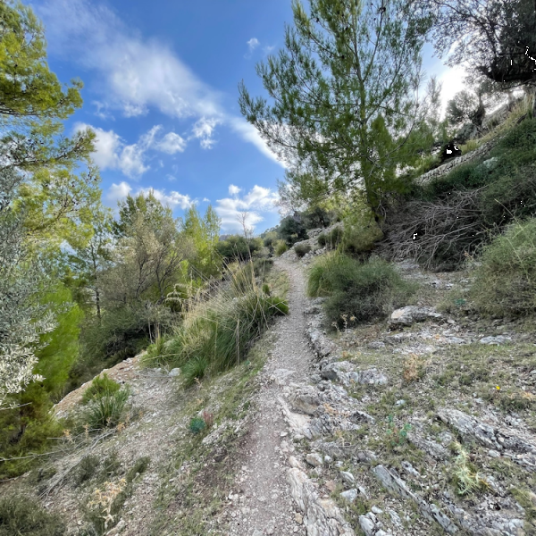 Finca-Wandern auf Mallorca