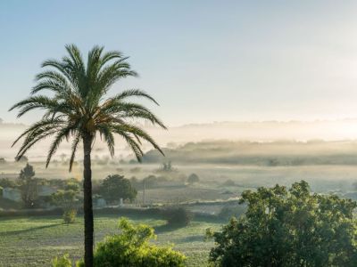 Finca Ferien auf Mallorca fr Single oder Paare Impressionen