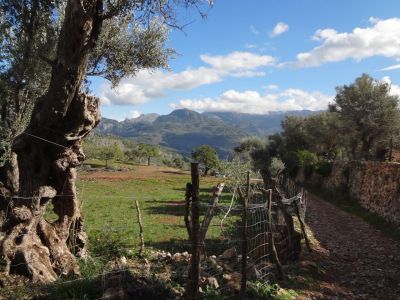 Alternativ reisen und wandern auf Mallorca 