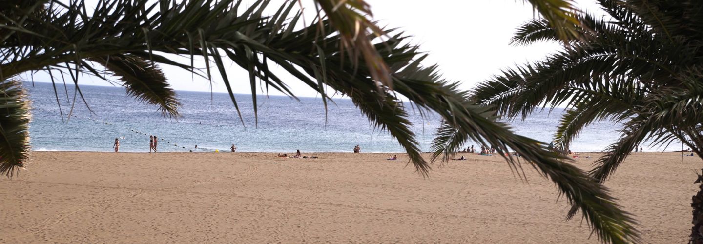 Spanien Urlaub Strand Palmen