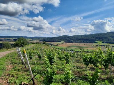 rheinland pfalz wandern urlaub familien