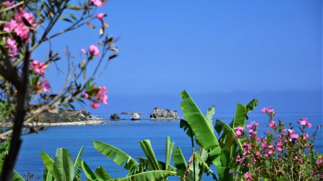 Yoga Urlaub Mittelmeer Zypern