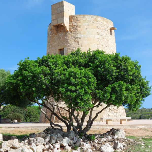 Familienhotel Cala Santanyi - Mallorca 