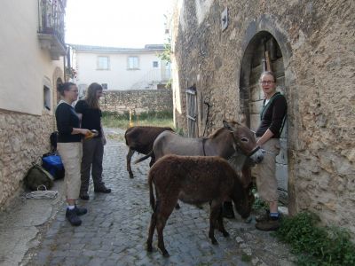 Abruzzen mit Eseln entdecken Trekkingurlaub mit Kindern