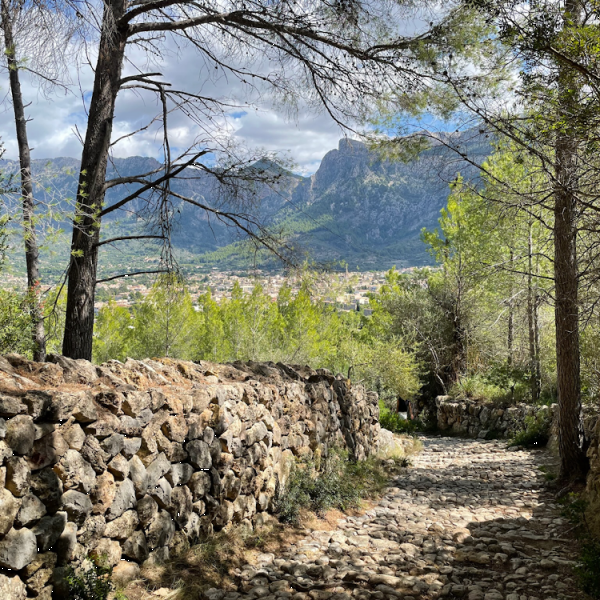 Finca-Wandern auf Mallorca