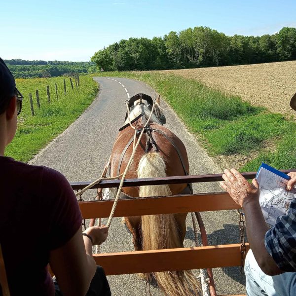 Planwagen-Urlaub in den Vogesen - Frankreich