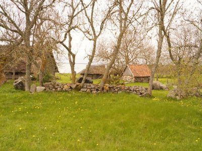 Estland Urlaub auf dem Bauernhof Familienurlaub Kinderhotels