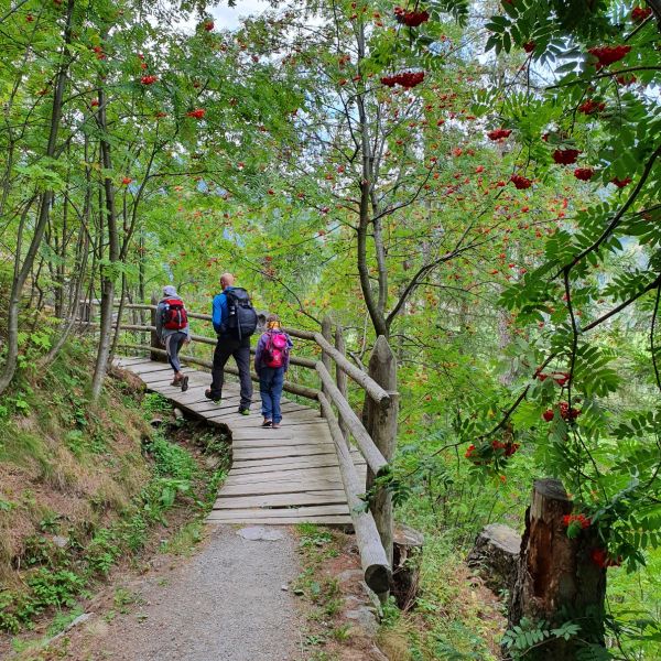 Wandern mit Kindern in Sdtirol - Italien
