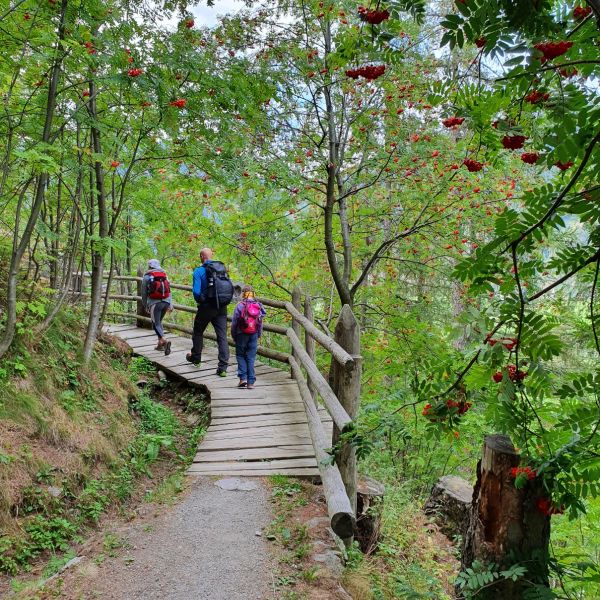 Von Reschen nach Meran - Familien-Wanderwoche in Sdtirol - Norditalien