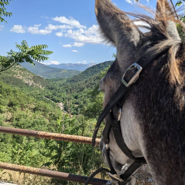 Eselwandern in den Abruzzen - Eselwanderung Italien