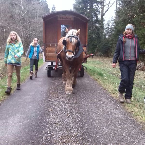 Planwagen-Urlaub in den Vogesen - Frankreich