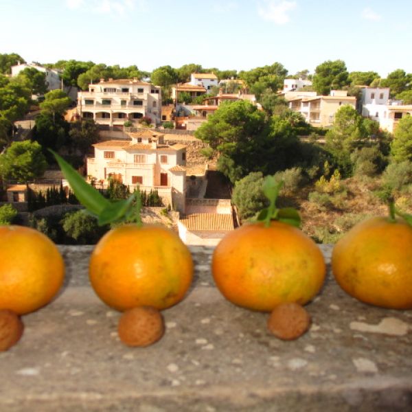 Familienhotel Cala Santanyi - Mallorca 