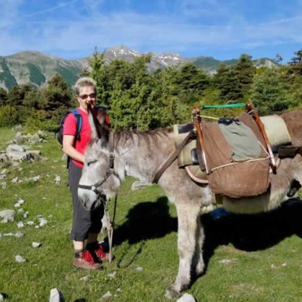 Eselwandern in Frankreich - Provence -  Sdalpen