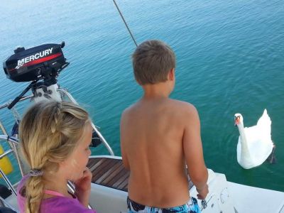 Schwan Korfu Segelurlaub Kinder Familie