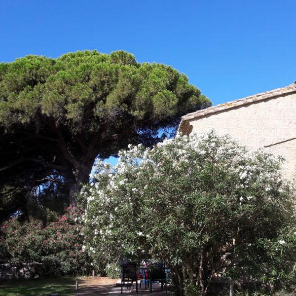 Familienurlaub im Landhaus Mas Fonrouge - Camargue/Sdfrankreich