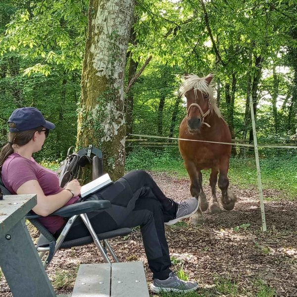Planwagen-Urlaub in den Vogesen - Frankreich