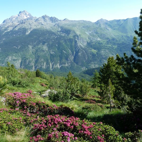 Piemont Valle Maira: Wandern ohne Gepck fr Genieer