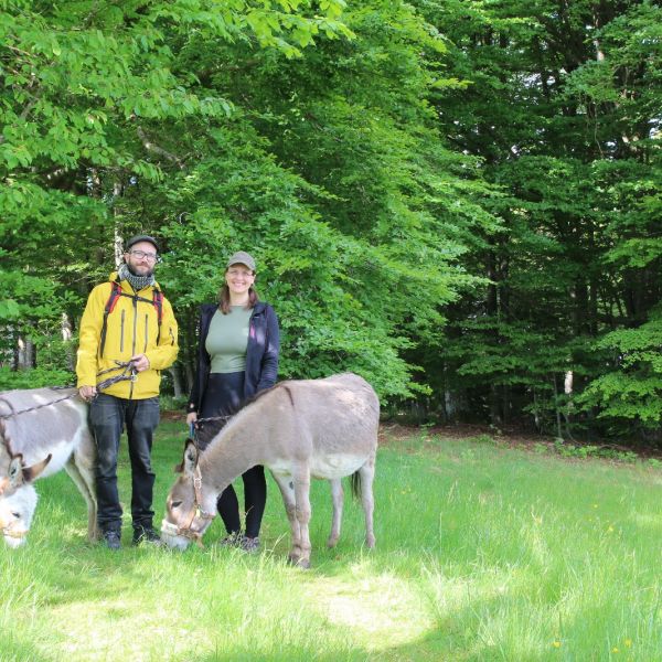 Eselwandern im Bayerischen Wald - Region Sonnenwald
