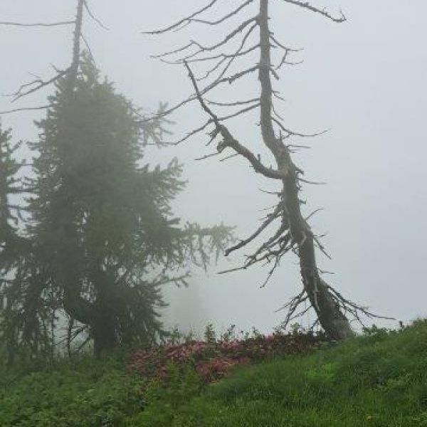 ko-Ferienwohnung im Piemont: Natururlaub im Valle Maira 