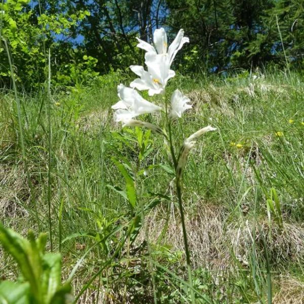 Piemont Valle Maira: Wandern ohne Gepck fr Genieer