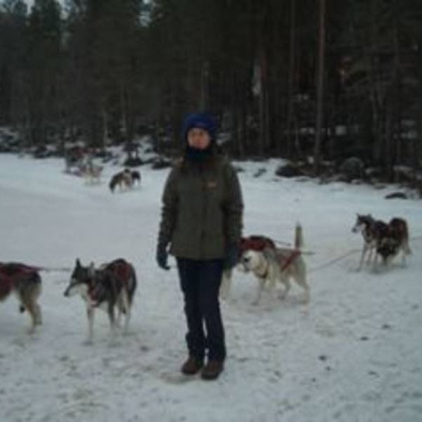 Familienurlaub in Schwedens Lappland - Winterabenteuer am Polarkreis