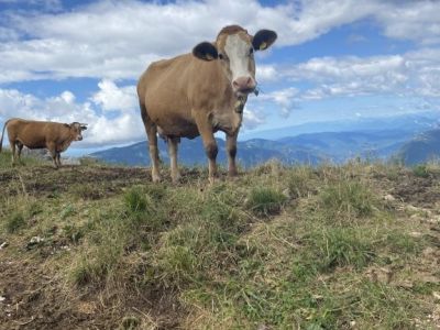 Familien Bergsportcamp Kobarid Triglav Nationalpark Slowenien
