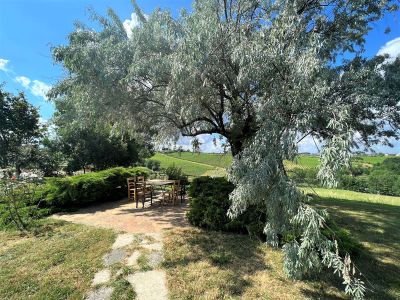 Weingut Italien Toskana Idylle