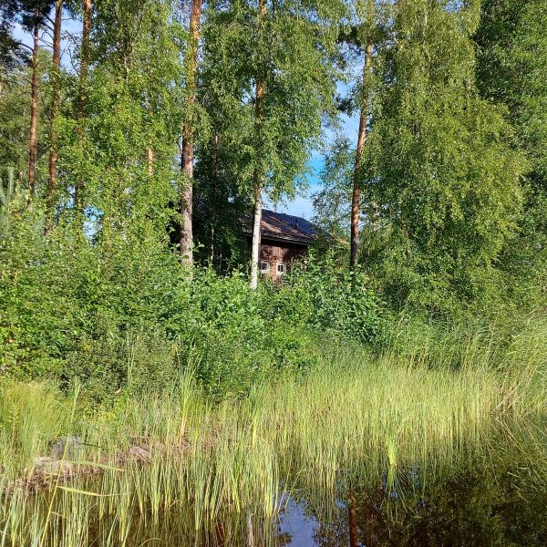 Finnlands Seen und Wlder  Familienurlaub im ko-Ferienhaus