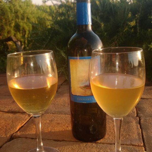 Toskana-Urlaub in Bio-Weingut bei Vinci
